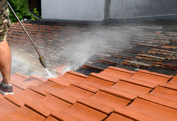 Best Sidewalk Pressure Washing  in Woodbury, TN