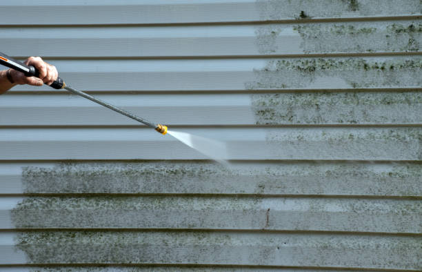 Best Pressure Washing Estimates  in Woodbury, TN