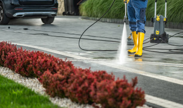 Best Local Pressure Washing Services  in Woodbury, TN